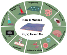 Graphical abstract: Non-Ti MXenes: new biocompatible and biodegradable candidates for biomedical applications