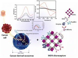Graphical abstract: Emerging biosensing platforms based on metal–organic frameworks (MOFs) for detection of exosomes as diagnostic cancer biomarkers: case study for the role of the MOFs