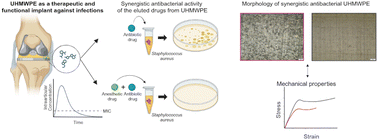 Graphical abstract: Synergistic antibacterial drug elution from UHMWPE for load-bearing implants
