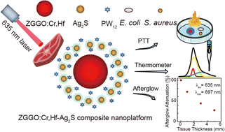 Graphical abstract: Sesame ball-like PTT nanoplatforms with fluorescence-background-free temperature sensing