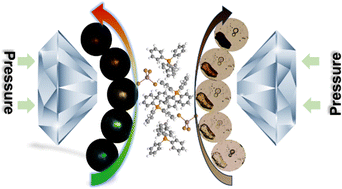 Graphical abstract: Pressure-induced tunable emission colors and irreversible bandgap narrowing in organic–inorganic manganese bromide hybrids