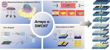 Graphical abstract: Progress in the fabrication of high-purity semiconducting carbon nanotube arrays