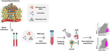 Graphical abstract: Bulk-lysis protocols as a sensitive method for investigation of circulating CK19 cells in the peripheral blood of patients with breast cancer by flow cytometry