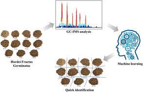 Graphical abstract: Discrimination of different stir-frying degrees of Hordei Fructus Germinatus based on GC-IMS and machine learning