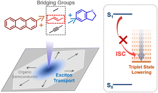 Graphical abstract: Promoted exciton transport in organic semiconductors by triplet-state manipulation