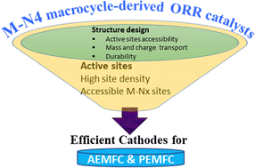Graphical abstract: Recent progress on MN4 macrocycle-derived oxygen reduction reaction electrocatalysts for polymer electrolyte fuel cell applications