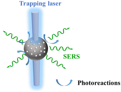 Graphical abstract: Probing photoreactions of individual suspended carbonaceous aerosols by multi-wavelength OT-SERS