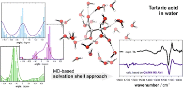 Graphical abstract: Vibrational circular dichroism of tartaric acid in water