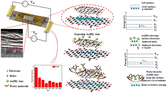 Graphical abstract: Trace level arsenic (iii) ion detection in water with a liquid-gated rGO/GO field effect transistor based sensor