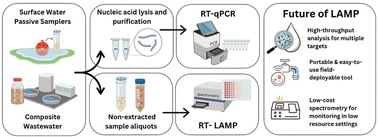 Graphical abstract: Isothermal amplification as a water safety tool: rapid detection of viruses in surface water and wastewater