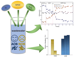Graphical abstract: Innovative method for stable operation of low ammonia nitrogen nitrification systems: integrated enhancement strategy