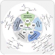 Graphical abstract: Green chemistry perspectives on click chemistry approaches for cellulose functionalization: a critical review