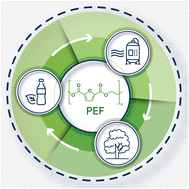 Graphical abstract: Closed-loop chemical recycling of polyethylene furan-2,5-dicarboxylate (PEF) under microwave-assisted heating