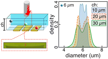 Graphical abstract: A long-term universal impedance flow cytometry platform empowered by adaptive channel height and real-time clogging-release strategy
