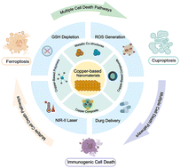 Graphical abstract: Copper-based architectures for bladder cancer therapy: mechanistic insights, progress and prospects