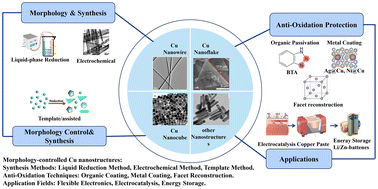 Graphical abstract: Morphology-controlled copper nanostructures: synthesis, anti-oxidation strategy, and applications
