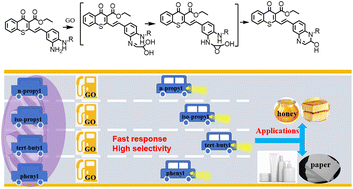 Graphical abstract: Investigation of the factors influencing the selectivity and response times of glyoxal-selective probes