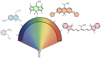Graphical abstract: Shining light on photo-responsive molecular tools: advances in visible-to-NIR activatable photolabile protecting groups