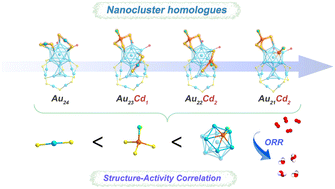 Graphical abstract: Construction of a homologous series of metal nanoclusters and implications for structure–activity correlations