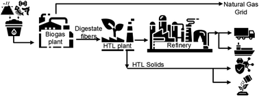 Graphical abstract: Waste valorization: harnessing biogas plant residues for fuel production