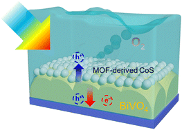 Graphical abstract: Metal–organic framework-derived nano-CoS-enhanced photoelectrochemical water splitting performance of the BiVO4 photoanode