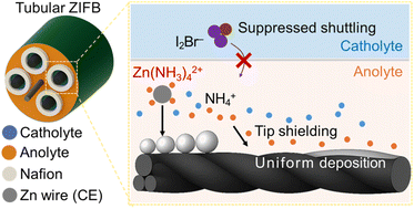 Graphical abstract: A dual-stabilization strategy for tubular zinc-iodine flow batteries
