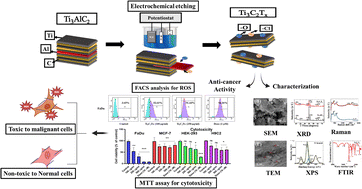 Graphical abstract: Engineered Ti3C2(O,Cl) MXenes with dual functionalization: a new Frontier in targeted head and neck squamous cell carcinoma and breast adenocarcinoma