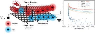 Graphical abstract: Metal chalcogenide complex ligands enhance the photoresponse in hybrid graphene/PbS quantum dot photodetectors