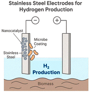 Graphical abstract: Stainless steel-based nanostructured electrodes for hydrogen production