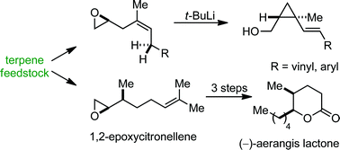 Graphical abstract: Transforming terpene-derived aldehydes into 1,2-epoxides via asymmetric α-chlorination: subsequent epoxide opening with carbon nucleophiles