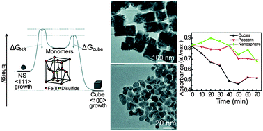 Graphical abstract: Thermodynamic control of iron pyrite nanocrystal synthesis with high photoactivity and stability