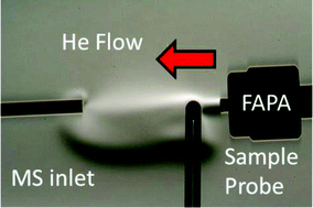 Graphical abstract: Visualization of mass transport and heat transfer in the FAPA ambient ionization source