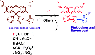 Graphical abstract: Rhodamine based sensor for naked-eye detection and live cell imaging of fluoride ions