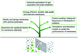 Graphical abstract: Graphene and graphene oxide: advanced membranes for gas separation and water purification