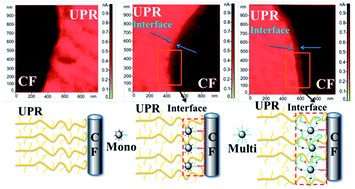 Graphical abstract: Interfacially reinforced unsaturated polyester composites by chemically grafting different functional POSS onto carbon fibers