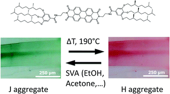 Graphical abstract: Reversible J- to H-aggregate transformation in thin films of a perylenebisimide organogelator