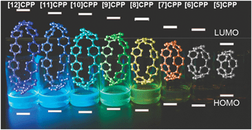 Graphical abstract: The dynamic, size-dependent properties of [5]–[12]cycloparaphenylenes