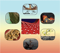 Graphical abstract: Graphene: a multipurpose material for protective coatings