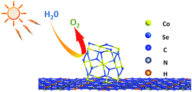 Graphical abstract: Cobalt selenide: a versatile cocatalyst for photocatalytic water oxidation with visible light