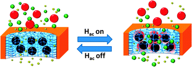 Graphical abstract: Novel magneto-responsive membrane for remote control switchable molecular sieving