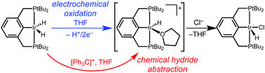 Graphical abstract: Electrochemical and chemical routes to hydride loss from an iridium dihydride