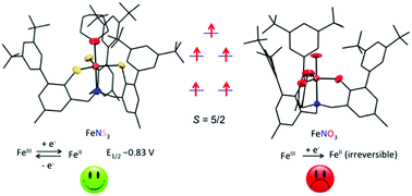 Graphical abstract: Redox flexibility of iron complexes supported by sulfur-based tris(o-methylenethiophenolato)amine relative to its tripodal oxygen-based congener