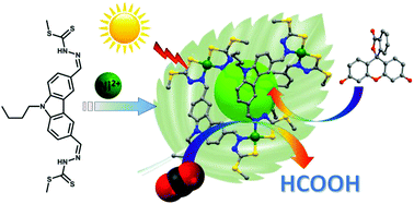 Graphical abstract: Metal–organic redox vehicles to encapsulate organic dyes for photocatalytic protons and carbon dioxide reduction