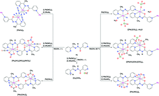 Graphical abstract: Anion-driven tetrel bond-induced engineering of lead(ii) architectures with N′-(1-(2-pyridyl)ethylidene)nicotinohydrazide: experimental and theoretical findings