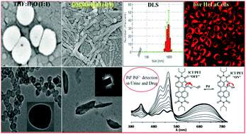 Graphical abstract: Self-assembled vesicle and rod-like aggregates of functionalized perylene diimide: reaction-based near-IR intracellular fluorescent probe for selective detection of palladium