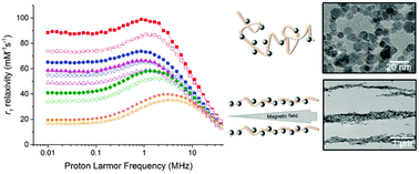 Graphical abstract: Heparin-stabilised iron oxide for MR applications: a relaxometric study