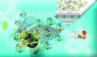 Graphical abstract: Functional nanostructures for enzyme based biosensors: properties, fabrication and applications