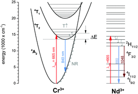 Graphical abstract: A new generation of highly sensitive luminescent thermometers operating in the optical window of biological tissues