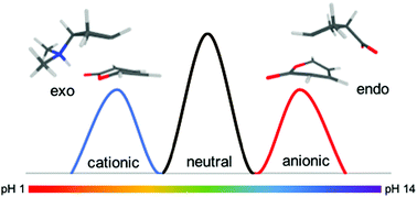 Graphical abstract: Can electrostatic catalysis of Diels–Alder reactions be harnessed with pH-switchable charged functional groups?