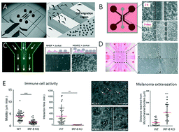 Graphical abstract: Recent advances in microfluidic technologies for cell-to-cell interaction studies